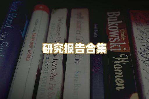 研究报告合集